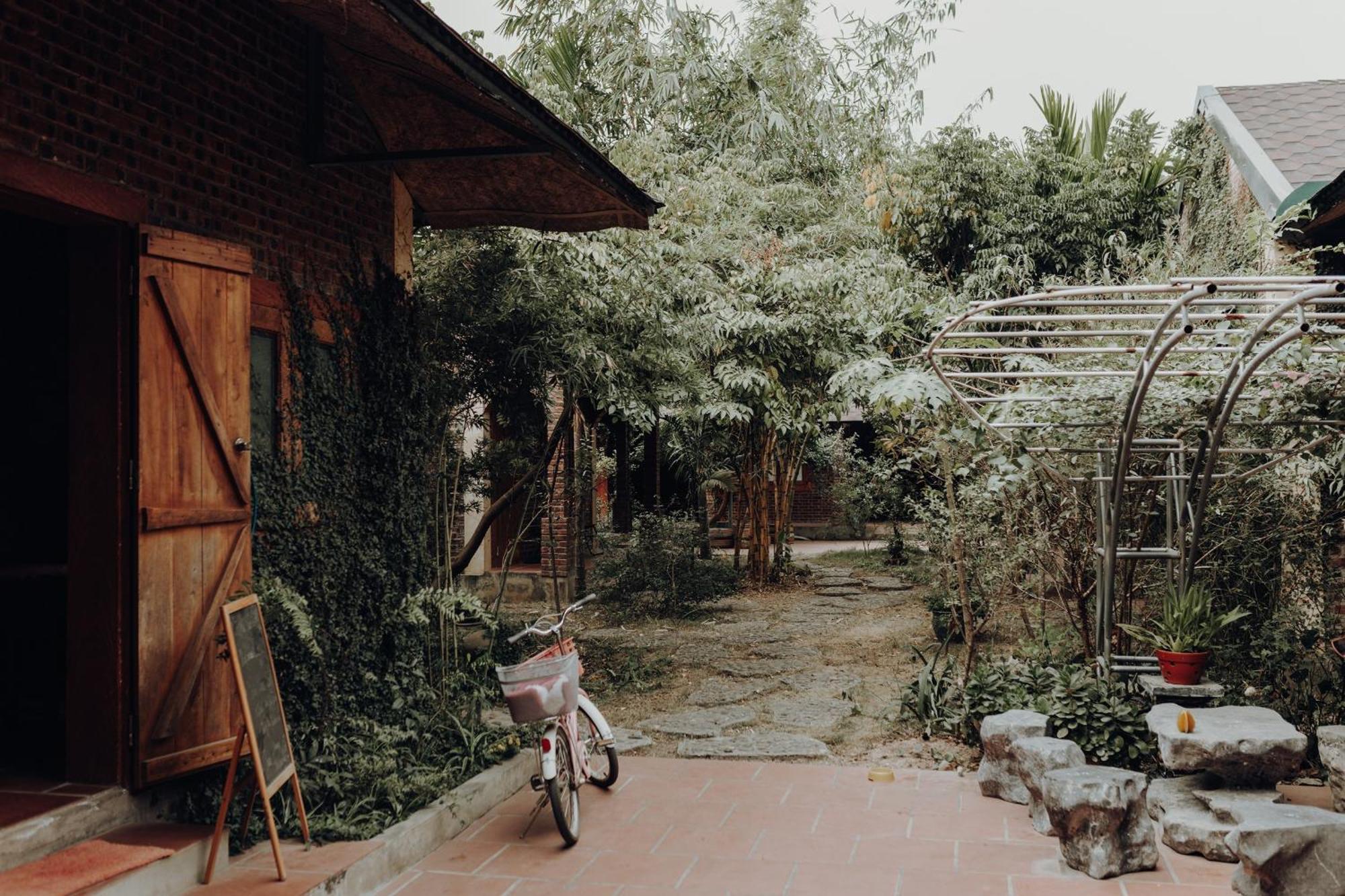 Ninh Binh Palm Homestay Exterior foto
