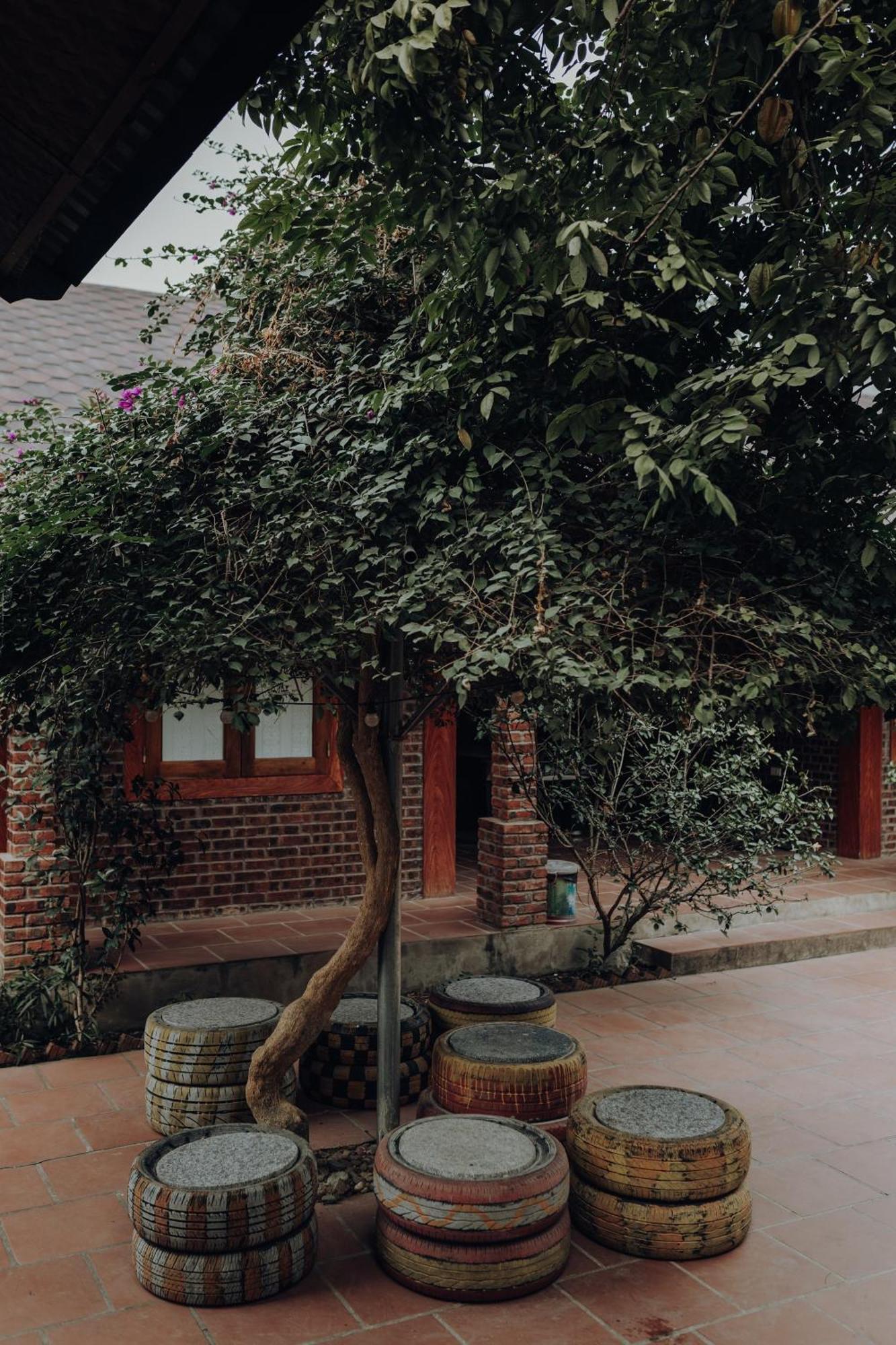 Ninh Binh Palm Homestay Exterior foto