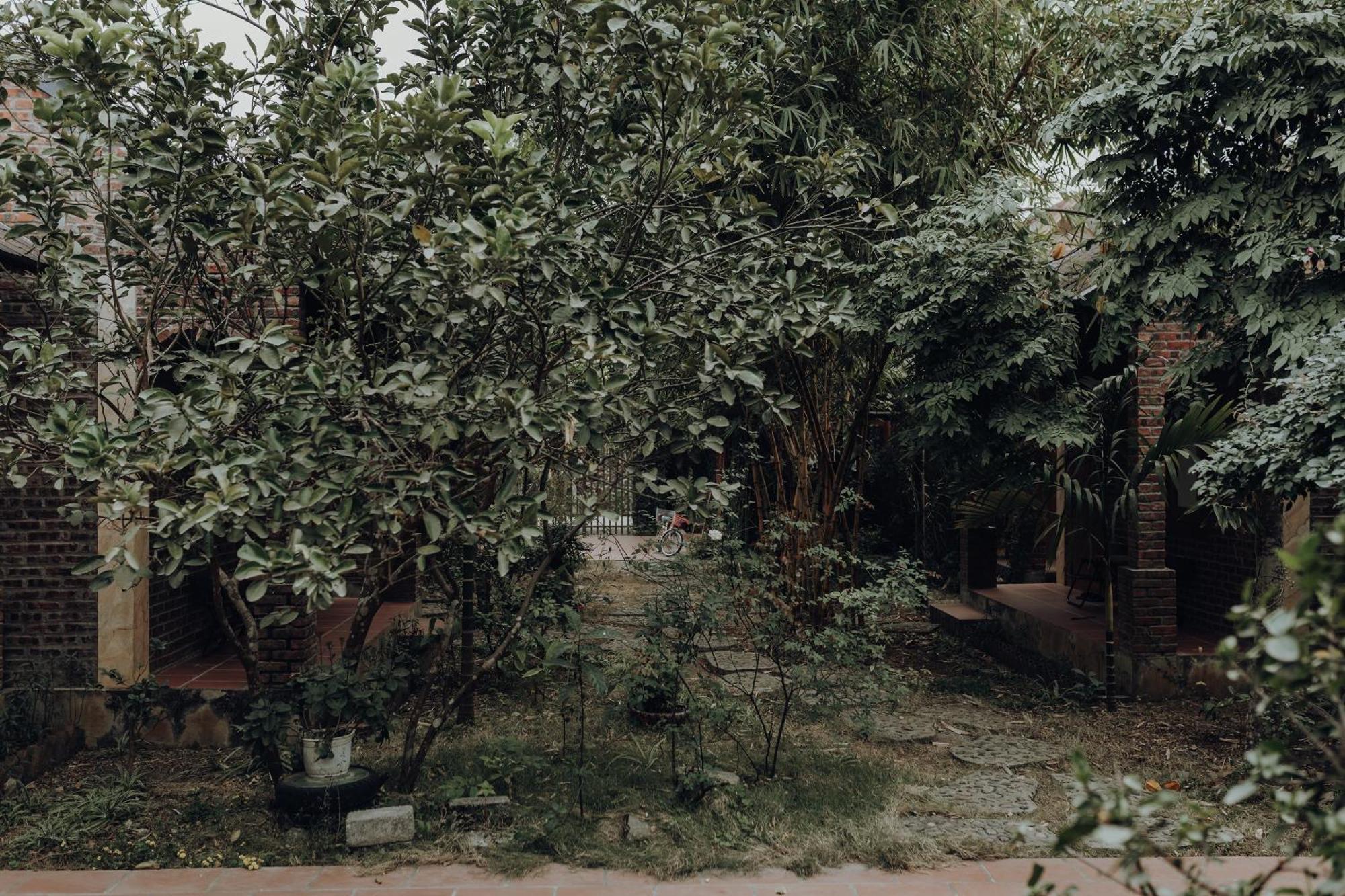 Ninh Binh Palm Homestay Exterior foto