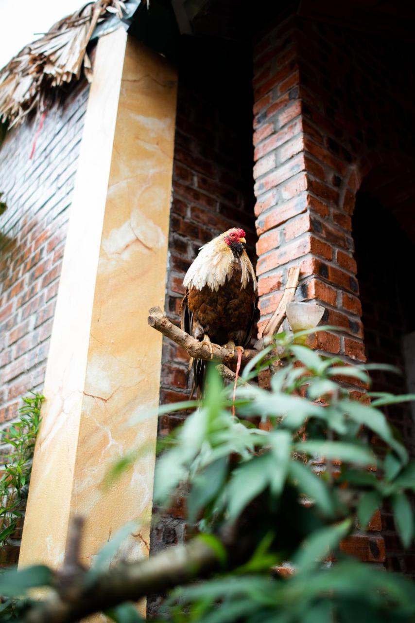 Ninh Binh Palm Homestay Exterior foto